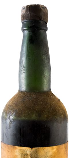 1842 Madeira Terrantez (nível baixo)