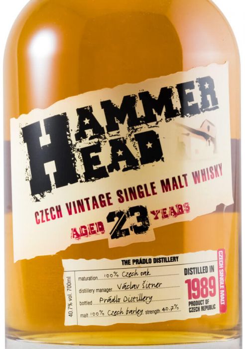 1989 Hammer Head 23 years