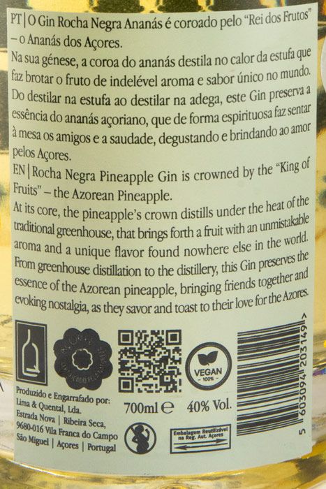Gin Rocha Negra Ananás