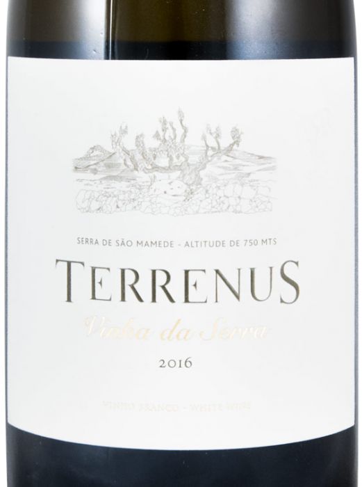 2016 Terrenus Vinha da Serra branco