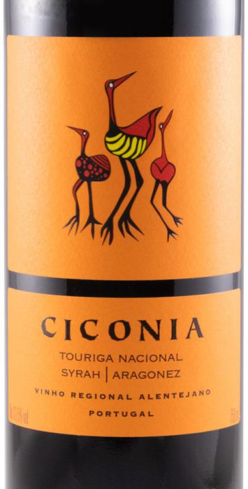2019 Ciconia red