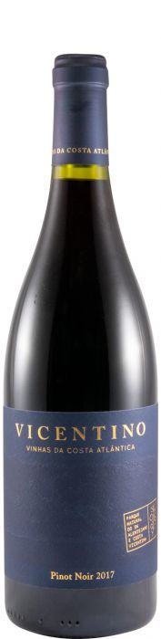 2017 Vicentino Pinot Noir red