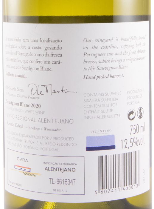 2020 Vicentino Sauvignon Blanc white