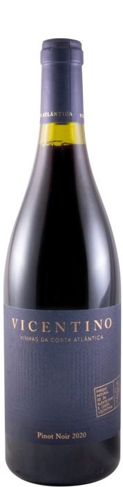 2020 Vicentino Pinot Noir red