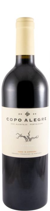 2020 Niepoort Copo Alegre Vinhas Velhas tinto