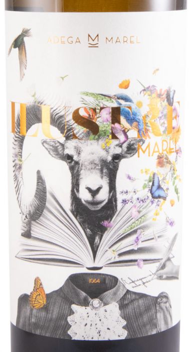 2022 Marel Ilustre branco