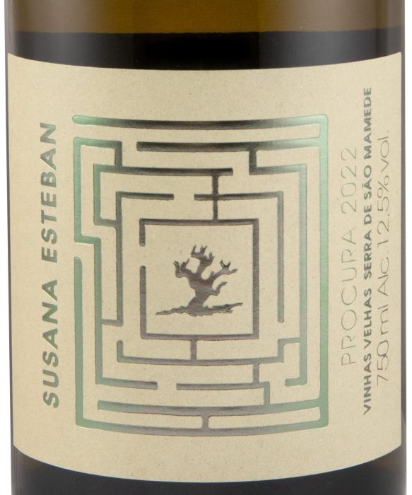 2022 Susana Esteban Procura branco