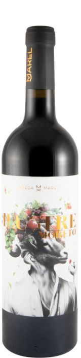 2024 Marel Ilustre Moreto tinto