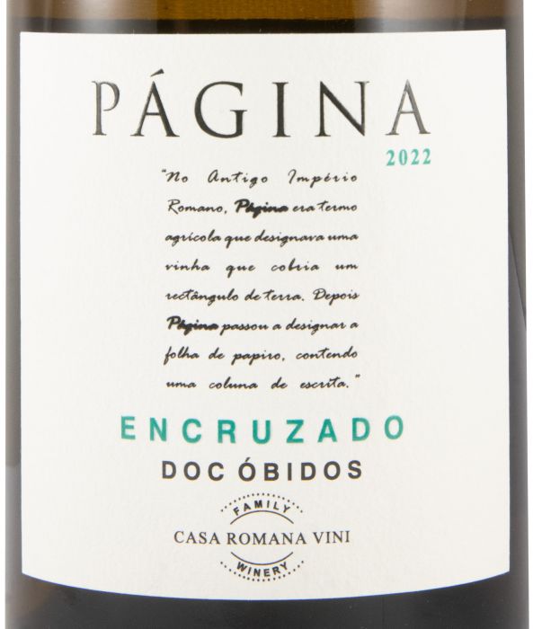 2022 Página Encruzado branco