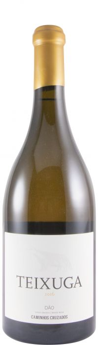 2016 Teixuga white