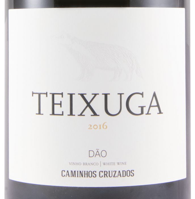 2016 Teixuga branco