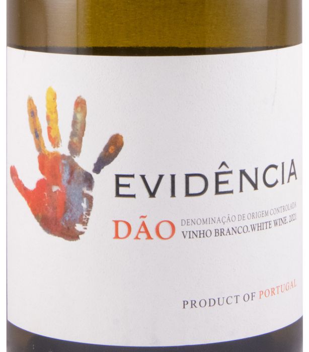 2021 Evidência white