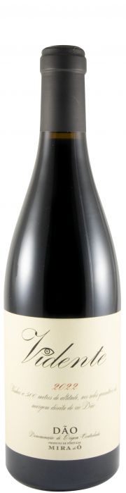 2022 Vidente tinto
