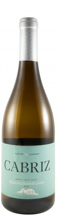 2022 Cabriz Sauvignon Blanc branco