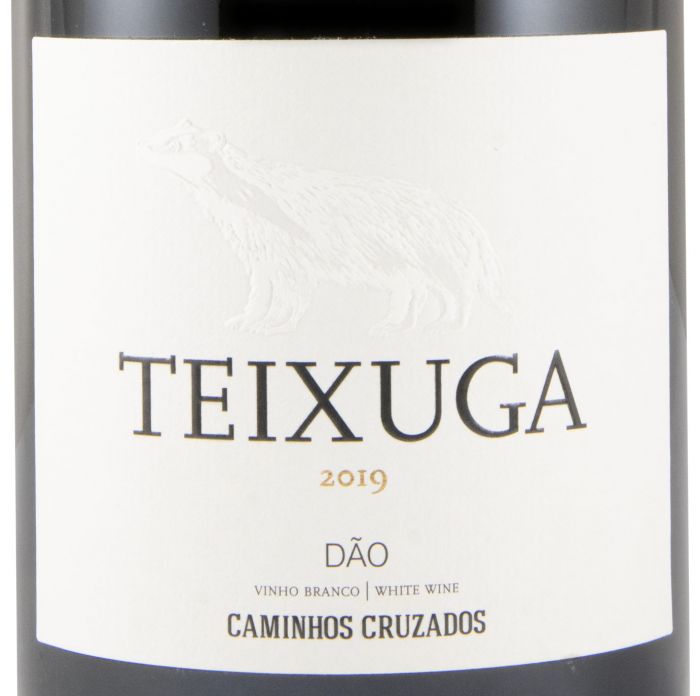 2019 Teixuga branco