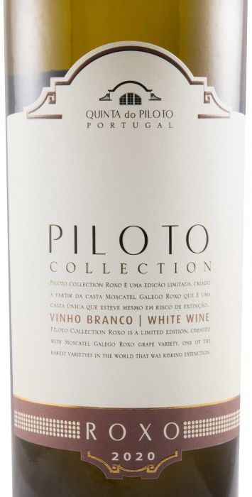 2020 Piloto Collection Roxo white