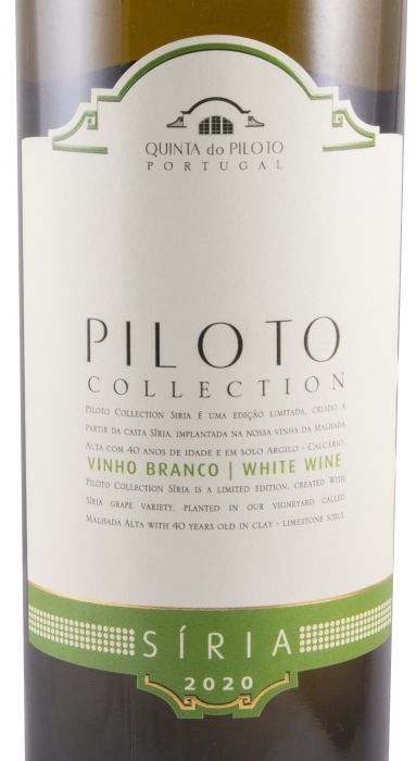 2020 Piloto Collection Síria branco
