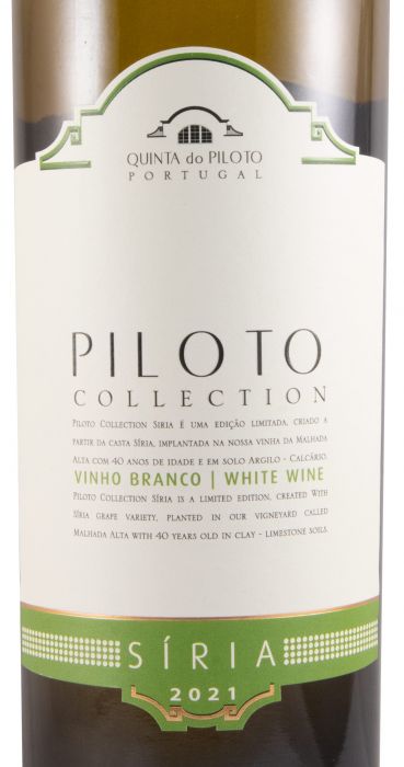 2021 Piloto Collection Síria white