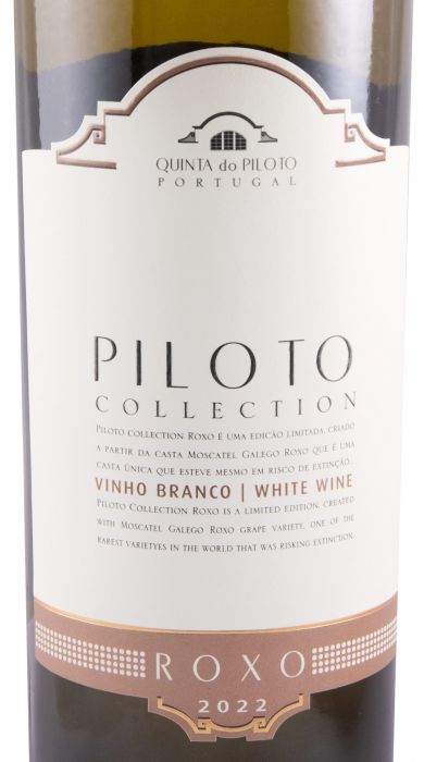 2022 Piloto Collection Roxo white