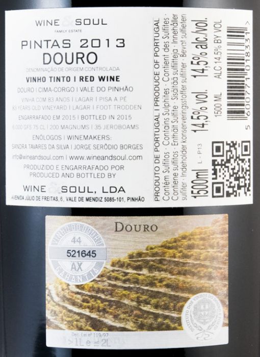 2013 Wine & Soul Pintas tinto 1,5L