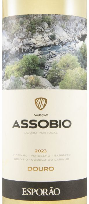 2023 Assobio branco