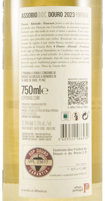 2023 Assobio branco