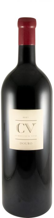 2021 Curriculum Vitae tinto 3L