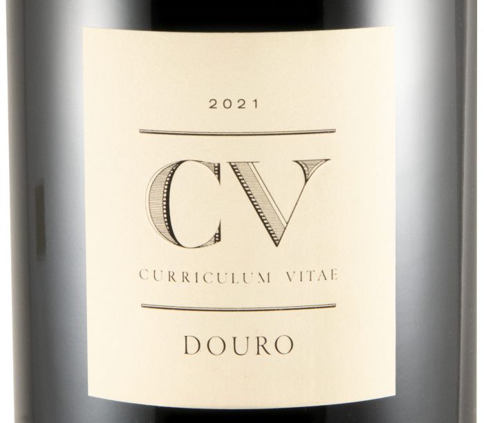 2021 Curriculum Vitae tinto 3L