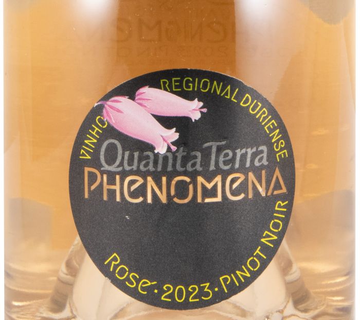 2023 Quanta Terra Phenomena rosé