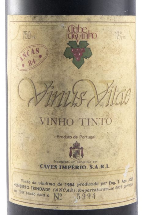 1984 Vinus Vitae Ancas red