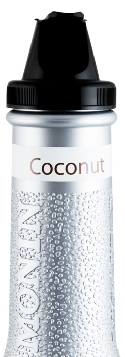 Fruit Puree Monin Coco 1L