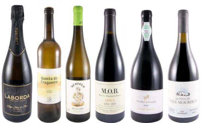 Wines for your cellar