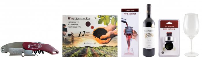 Kit de Iniciação à Prova de Vinhos