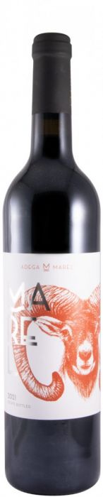 Wine Tasting Starter Kit