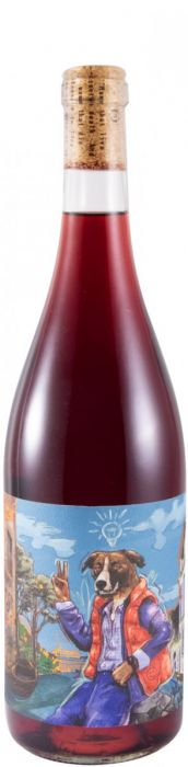 Talentos Promissores