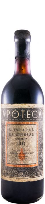 1880 Moscatel de Setúbal José Maria da Fonseca Apoteca