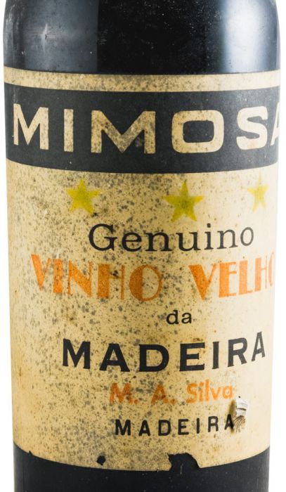 Madeira Mimosa