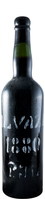 1880 Madeira Artur de Barros e Sousa Jp Lomelino Malvazia