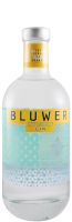 Gin Bluwer Invisible