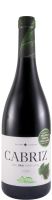 2019 Cabriz biológico tinto