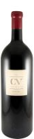 2021 Curriculum Vitae red 3L