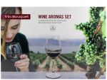 Conjunto Aromas Vinho