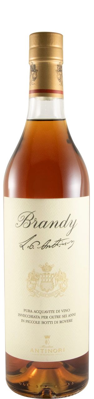 Brandy Antinori