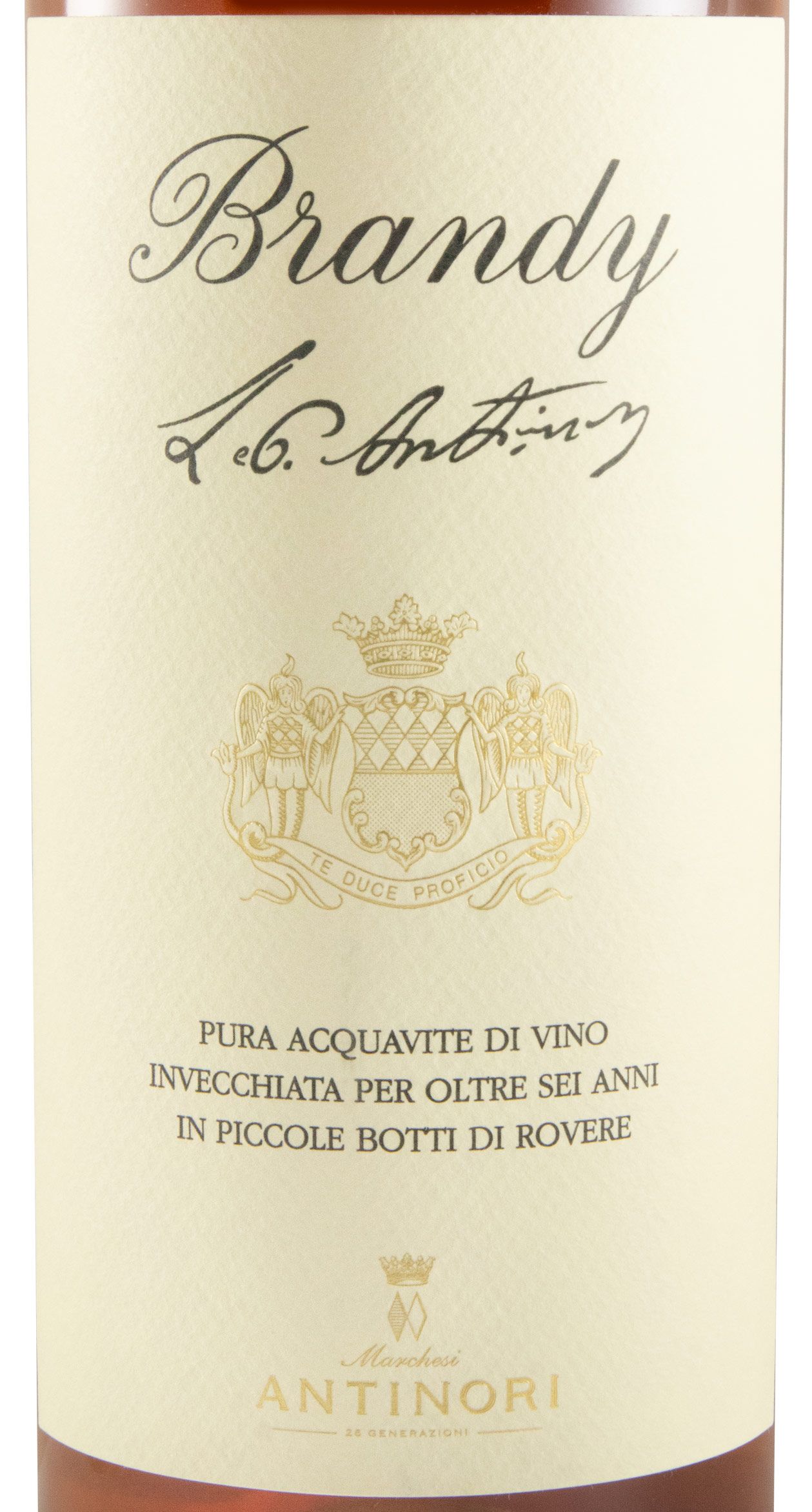 Brandy Antinori