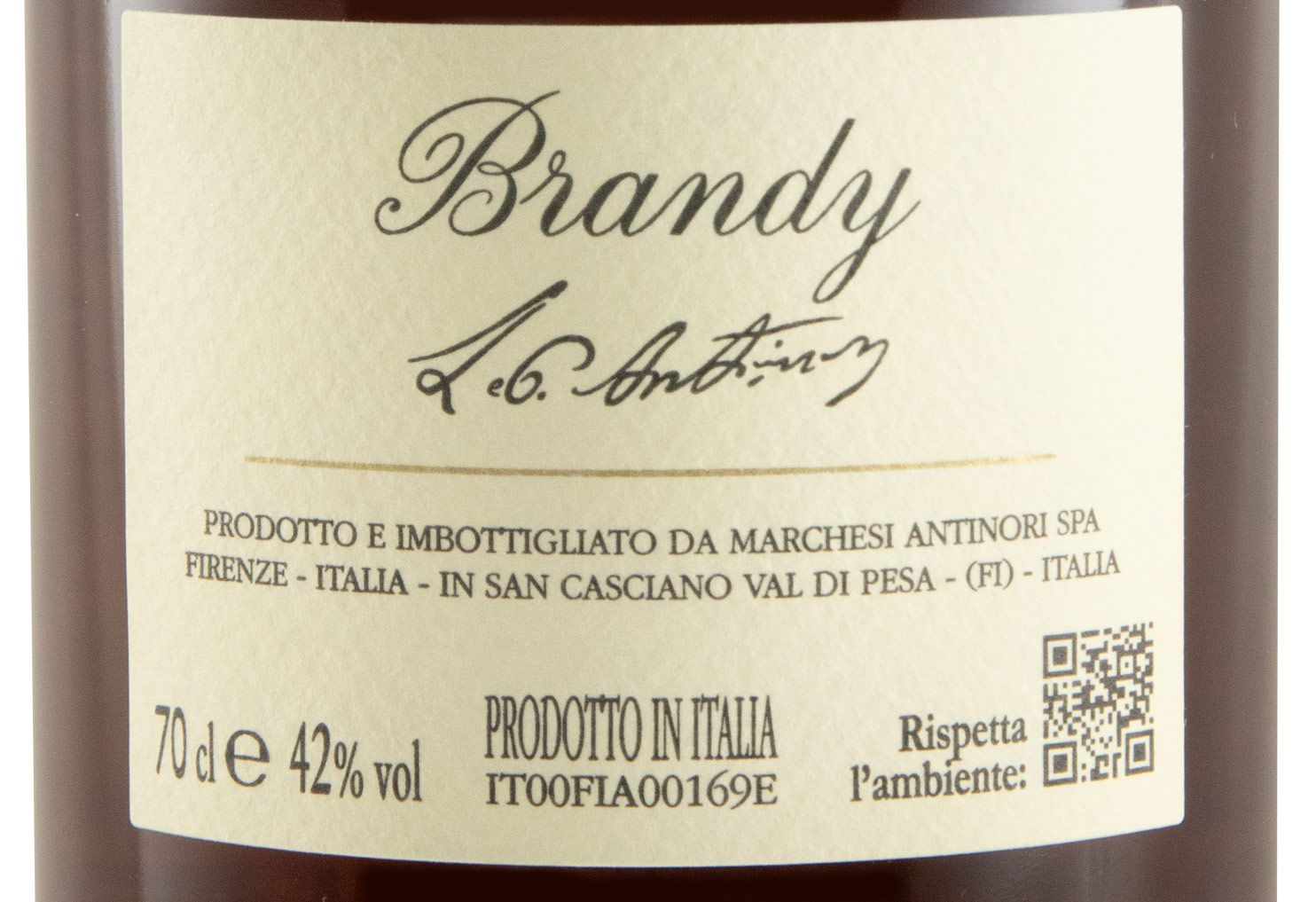 Brandy Antinori