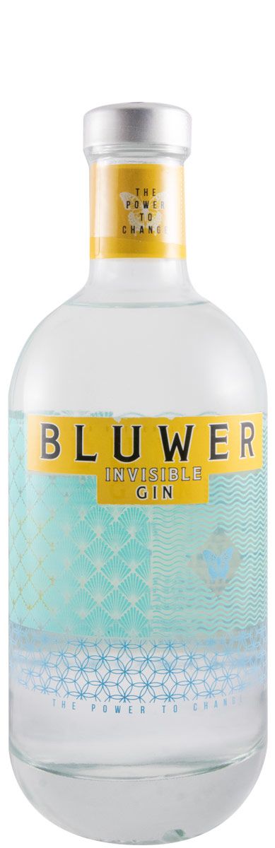 Gin Bluwer Invisible