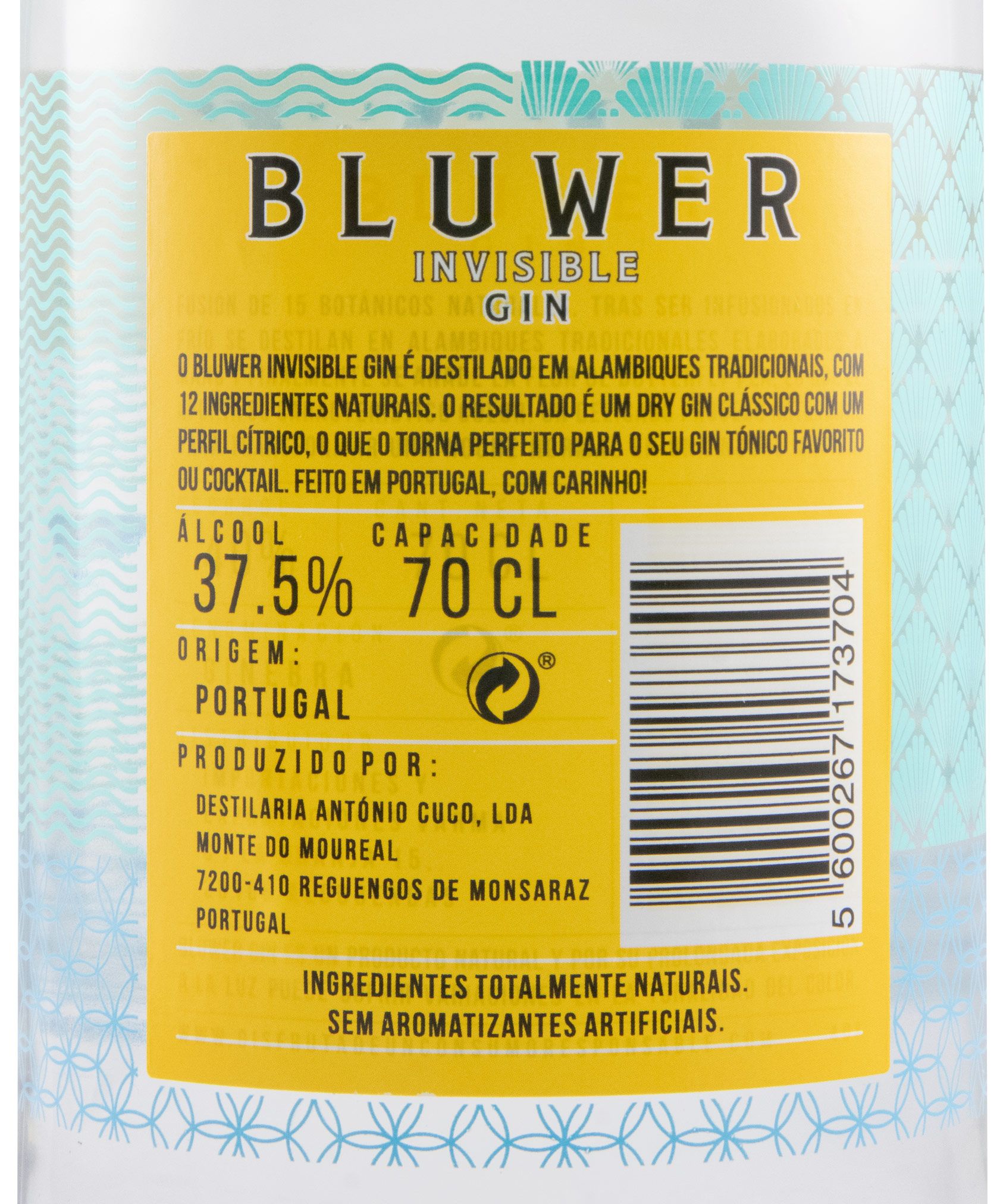Gin Bluwer Invisible
