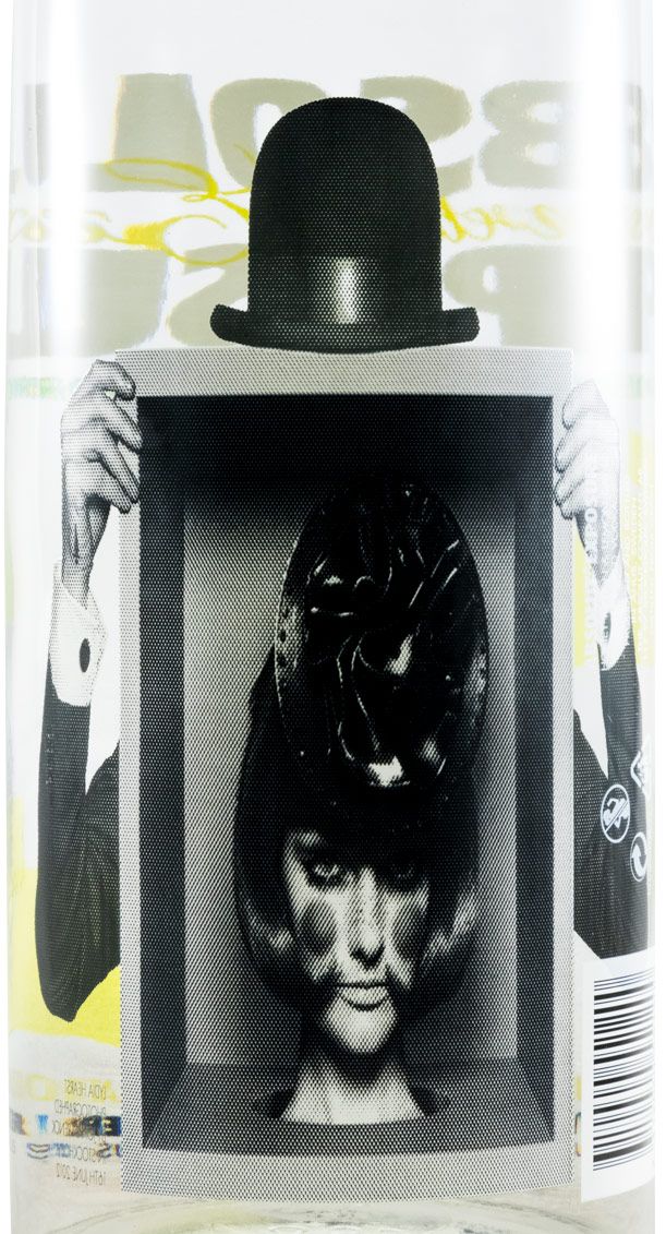 Vodka Absolut Exposure 1L