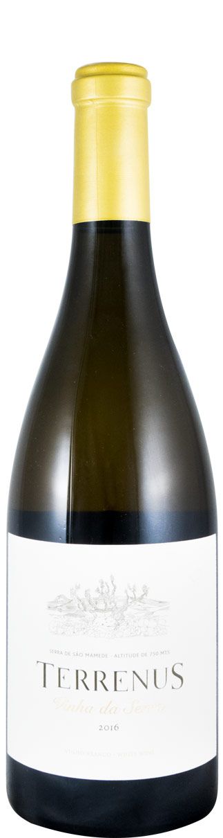 2016 Terrenus Vinha da Serra white