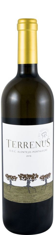 2016 Terrenus white